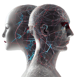 Human Digital Twins for fostering Prosocial Behaviour (HDT-PROSOCIAL – PID2022-140907OB-I00)